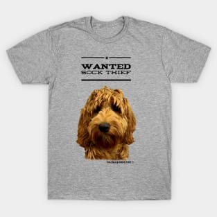 Cockapoo / Doodle Dog Sock Thief T-Shirt